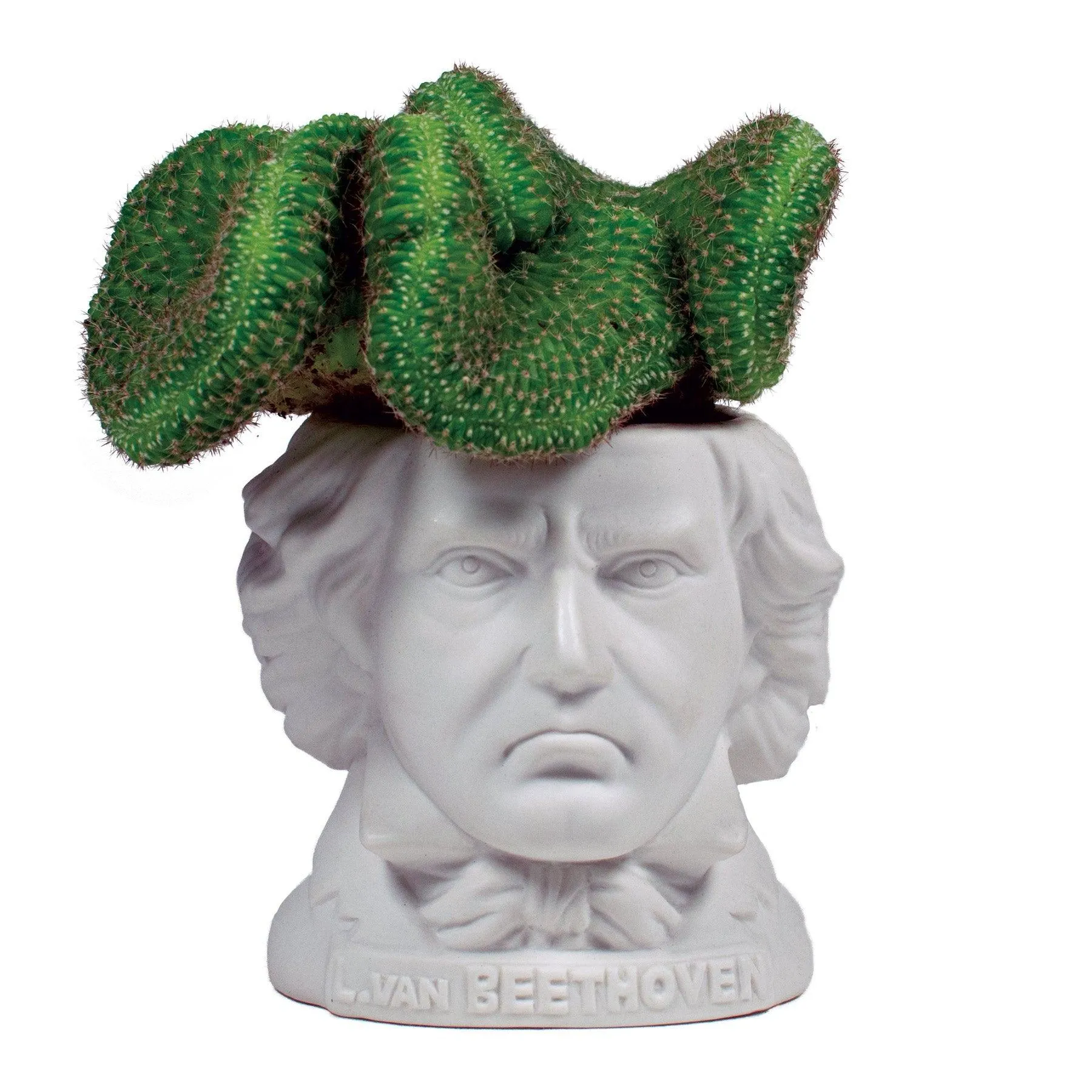 Beethoven Planter Bust