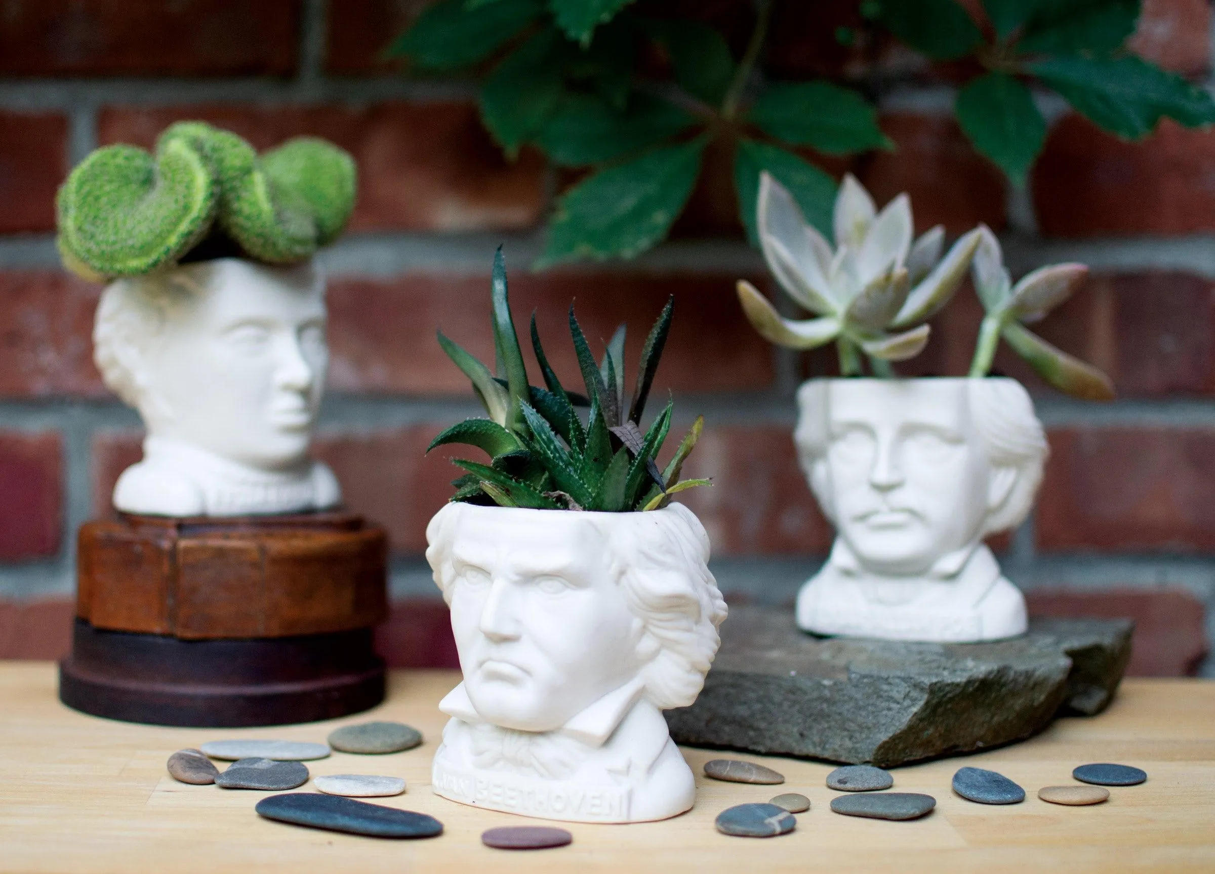 Beethoven Planter Bust