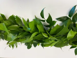 Classical Greenery Garland