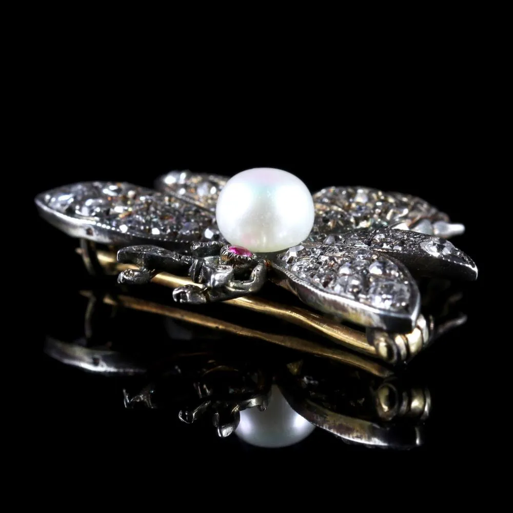 Diamond Pearl Ruby Bee Brooch