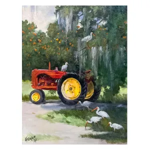 ECF Tractor - Lunch Break with Ibis Framed Oil Painting