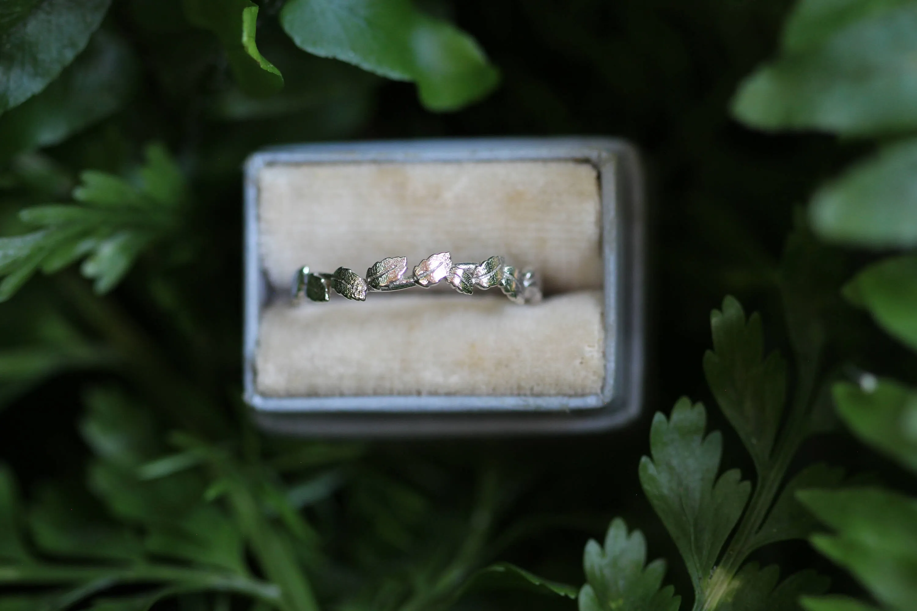 Preorder* Laurel Wreath Ring