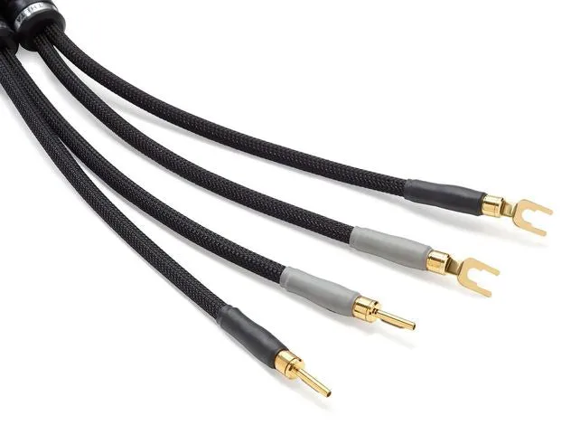 Shunyata Research Theta Speaker Cables